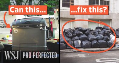 How to Fix New York City’s $500M Trash Problem | WSJ Pro Perfected