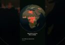How Trump’s Deportation Agenda Spreads Overseas
