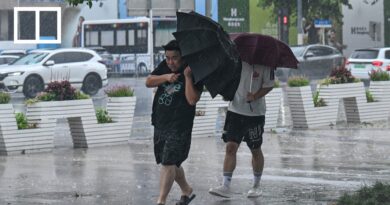 How Typhoon Dolphin unleashed extreme rain inland and across China