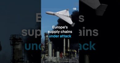 How vulnerable are Europe’s supply chains? | DW News