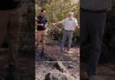 In Spain’s Worst Fires, Did Their Home and Garden Survive?