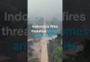 Indonesia fires threaten homes and wildlife | DW News