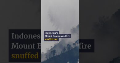 Indonesia’s Mount Bromo wildfire snuffed out