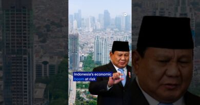 Indonesia’s success at risk? | DW News