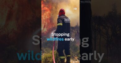 Is Europe doing enough to prevent wildfires? | DW News
