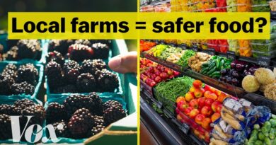 Is the food at the farmers market safer?