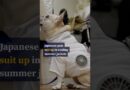 Japanese pets suit up in cooling summer jackets