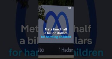Meta fined millions for harming children | DW News