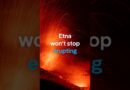 Mount Etna’s eruption in Sicily halts flights at Catania airport | DW News