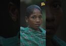 Naxal तो खत्म, पर क्या जंगलों पर Adani-Ambani का कब्जा होगा? CM Vishnu Deo Sai ने जवाब दिया