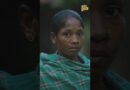 Naxal तो खत्म, पर क्या जंगलों पर Adani-Ambani का कब्जा होगा? CM Vishnu Deo Sai ने जवाब दिया