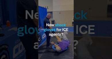 New shock gloves for ICE agents? | DW News