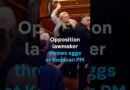 Opposition lawmaker throws eggs at Kosovo’s acting PM Albin Kurti | DW News
