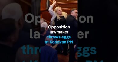 Opposition lawmaker throws eggs at Kosovo’s acting PM Albin Kurti | DW News