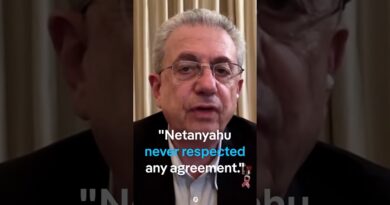 Palestinian politician reacts to Israel’s rejection of Gaza plan | DW News