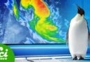 Penguins Control the Weather