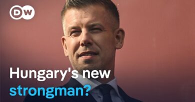 Peter Magyar: Hungary’s Democratic Hope or Orban 2.0? | DW News