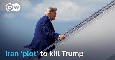 Report: Trump secretly swapped planes over Iran threat | DW News