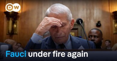 Republicans vs. Fauci: Is COVID-19 politics hurting public health? | DW News