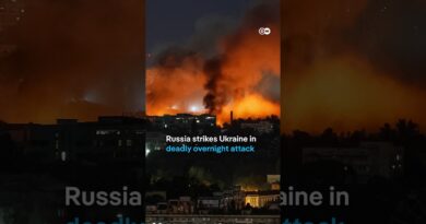 Russia strikes Kyiv in deadly overnight attack | DW News