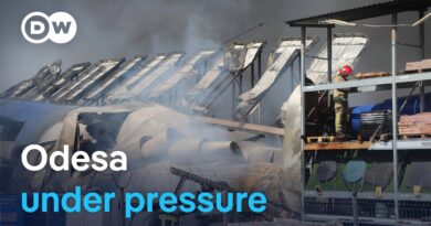 Russia’s assault on Odesa is choking a vital route for Ukrainian exports | DW News