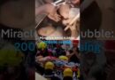 Search for survivors with 180 dead in Colombia quake | DW News