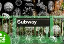 Should You Lick A Subway Pole?