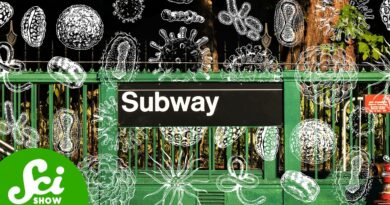 Should You Lick A Subway Pole?