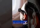 Solar eclipse flight brings fans closer to the sun | DW News