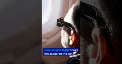 Solar eclipse flight brings fans closer to the sun | DW News
