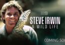 Steve Irwin: A Wild Life | Documentary honours Australia’s original wildlife warrior