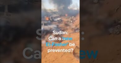 Sudan: Can a ‘new El-Fasher’ be prevented? | DW News