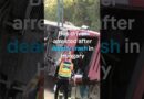 Survivor describes horror on deadly bus crash in Hungary | DW News