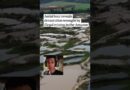 The devastation wrought by illegal mining in the Amazon rainforest