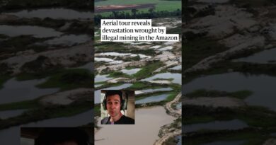 The devastation wrought by illegal mining in the Amazon rainforest