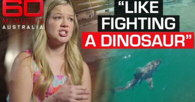 The fearless fight for survival in the face of a vicious great white shark | 60 Minutes Australia