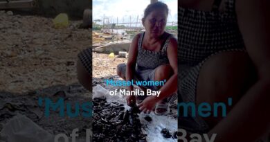 The ‘mussel women’ of Manila Bay | DW News