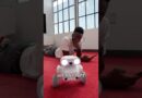 The Wildest Camera Robot