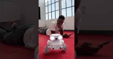 The Wildest Camera Robot
