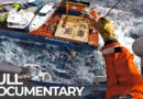 The World’s Most Impossible Rescues | Survival Against All Odds | Free Documentary