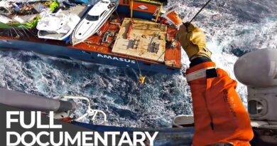The World’s Most Impossible Rescues | Survival Against All Odds | Free Documentary