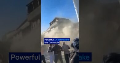 This is the moment a powerful earthquake struck Colombia | DW News