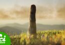 Those Ancient Giant Fungi Weren’t Fungi After All