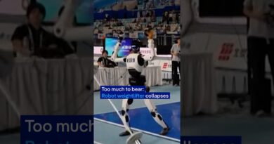 Too much to bear: Robot weightlifter collapses | DW News
