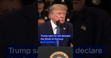 Trump says he will soon declare Strait of Hormuz as US territory | DW News