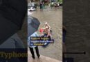 Typhoon Dolphin brings heavy rain and widespread flooding to Shanghai