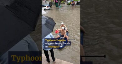 Typhoon Dolphin brings heavy rain and widespread flooding to Shanghai