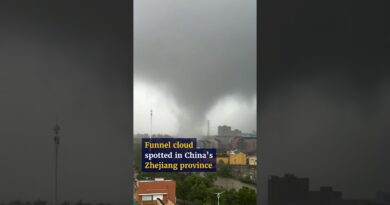 Typhoon Dolphin continues to wreak havoc in China’s Zhejiang province
