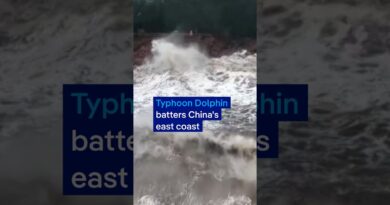 Typhoon Dolphin slams China’s east coast, forcing mass evacuations