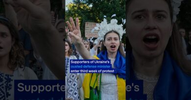 Ukraine: Protesters continue to demand return of sacked defense minister | DW News